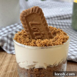 Five Ingredient No Bake Biscoff Cheesecake 8 A beautifully presented no-bake biscoff cheesecake with a Biscoff biscuit artfully placed in the middle.