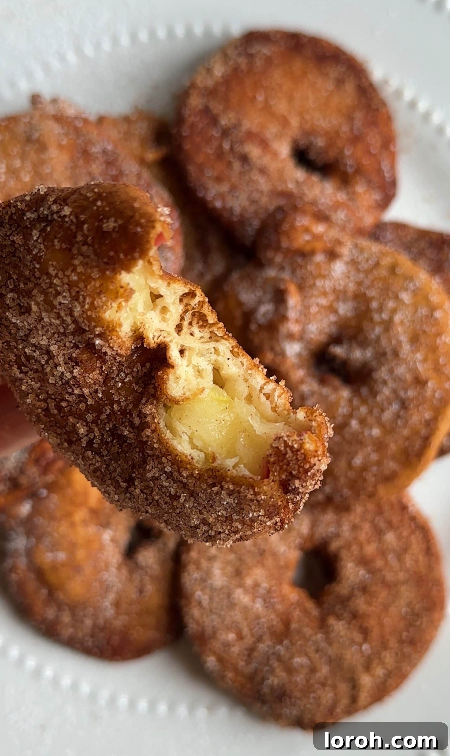 Apple Fritters 3 Close-up of golden Appelflappen, freshly fried and coated in cinnamon sugar.