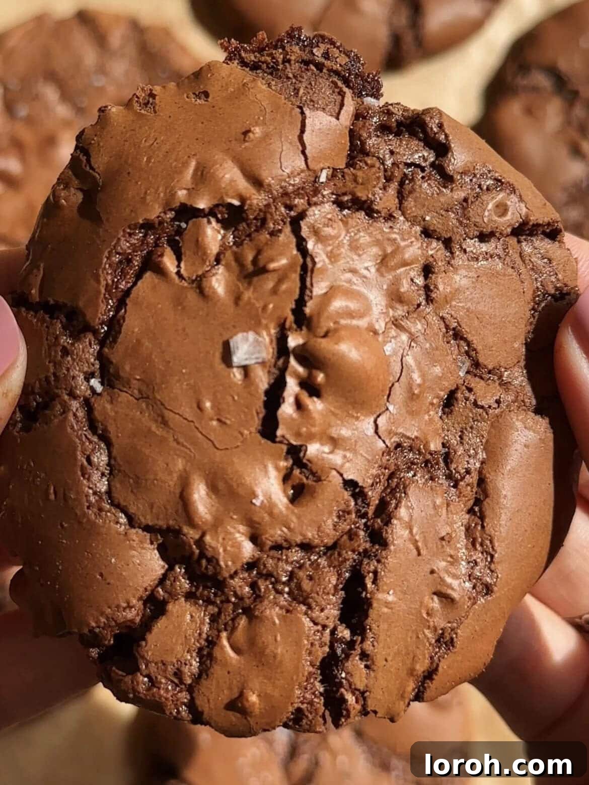 A woman holding a freshly baked chocolate brownie cookie, showcasing its rich, crinkly top and soft texture.