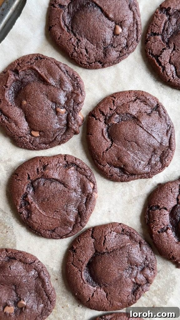 Freshly baked tiramisu cookies cooling on a rack, before the application of mascarpone icing