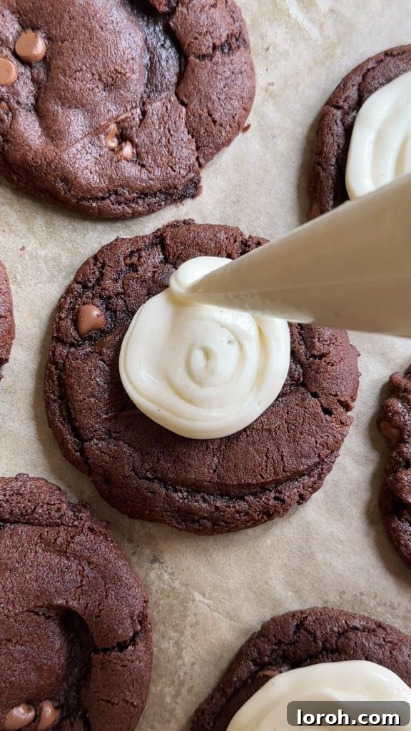 A piping bag swirling creamy mascarpone icing onto a tiramisu cookie