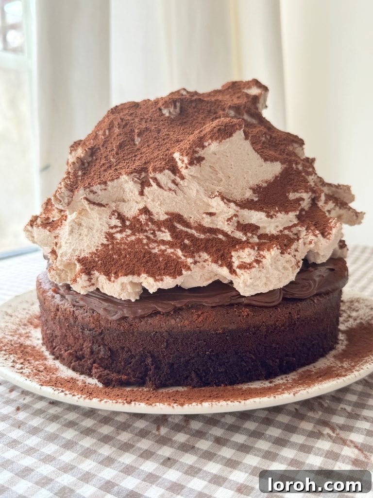 A stunning whole chocolate mud cake adorned with swirls of malted whipped cream, ready to be served at a special occasion.