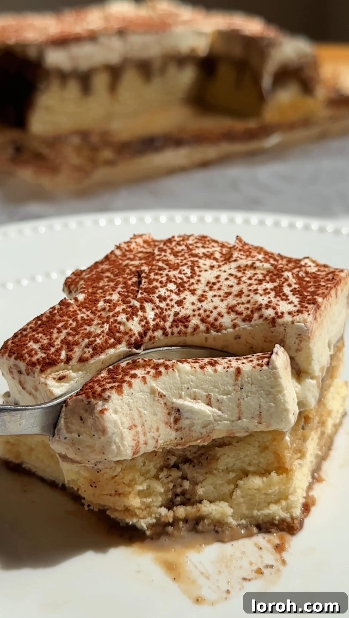 A beautifully finished Tiramisu Tres Leches Cake, dusted with cocoa powder, ready to be served.