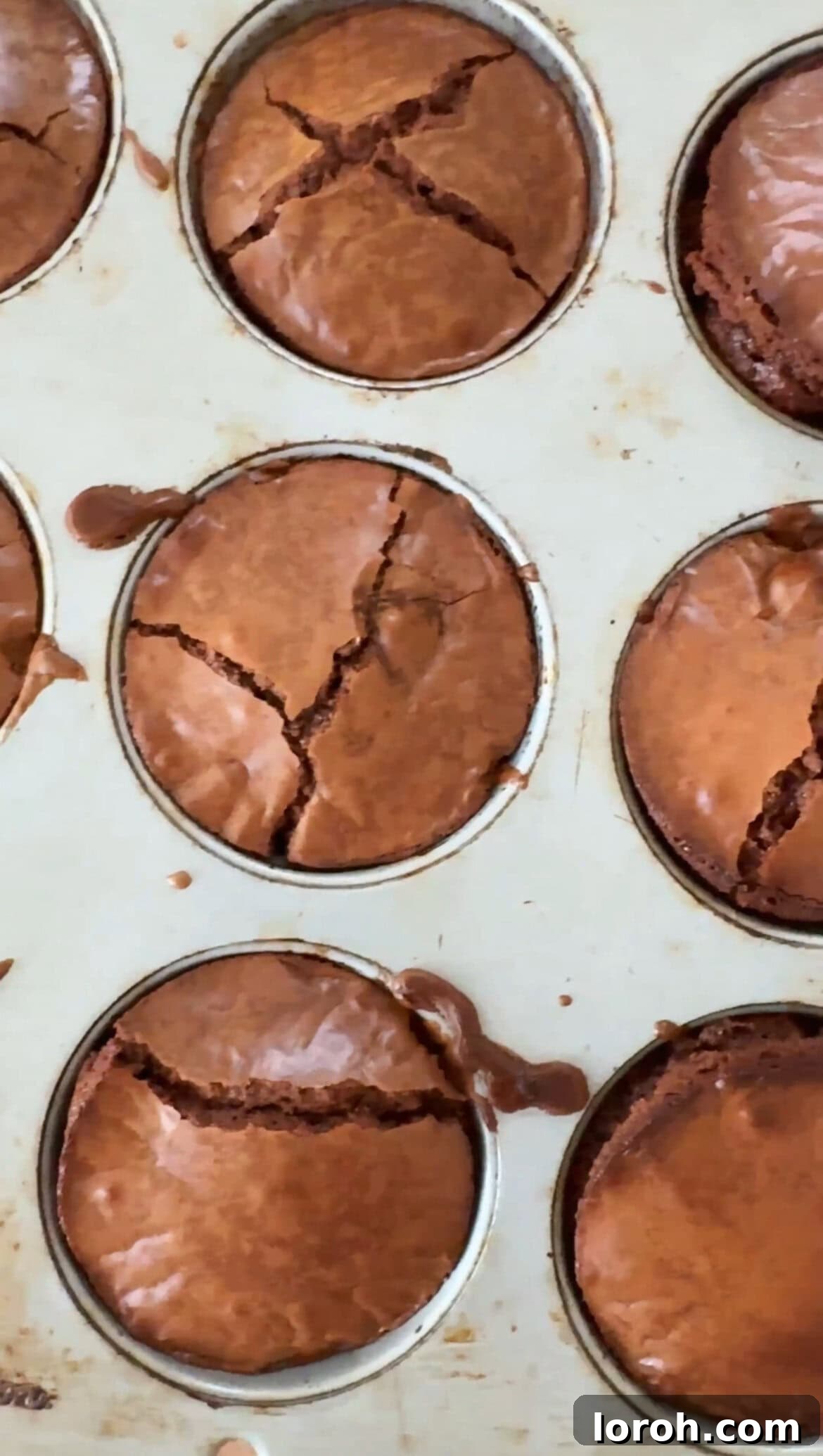 Brownie Nibbles 10 Step six: Baked brownie bites resting in the muffin tin, showing their beautifully puffed tops and rich color, cooling down.