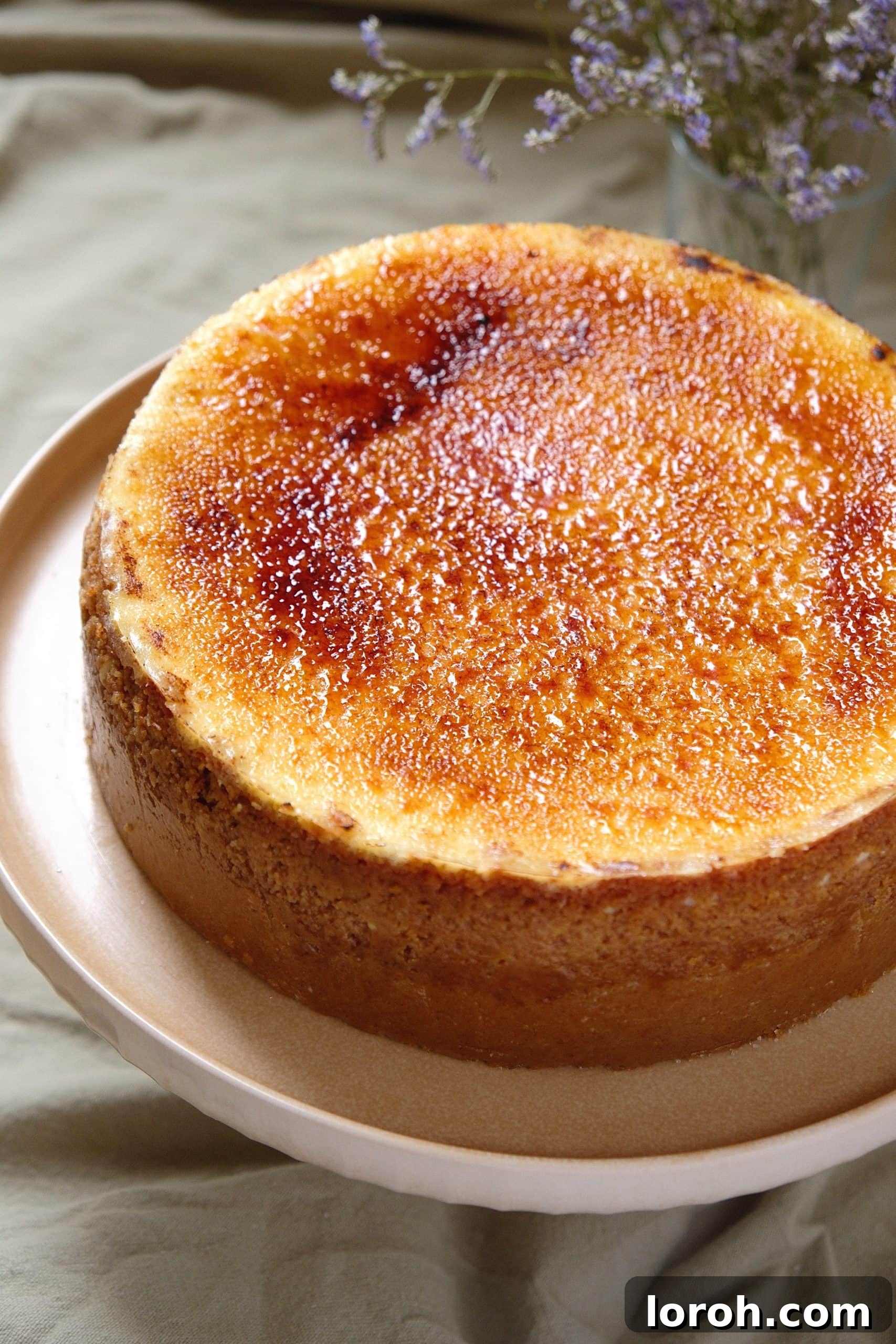 Golden Torched Cheesecake 2 A perfectly golden Crème Brûlée Cheesecake on a pink plate, showcasing its crispy caramelized topping and creamy filling.