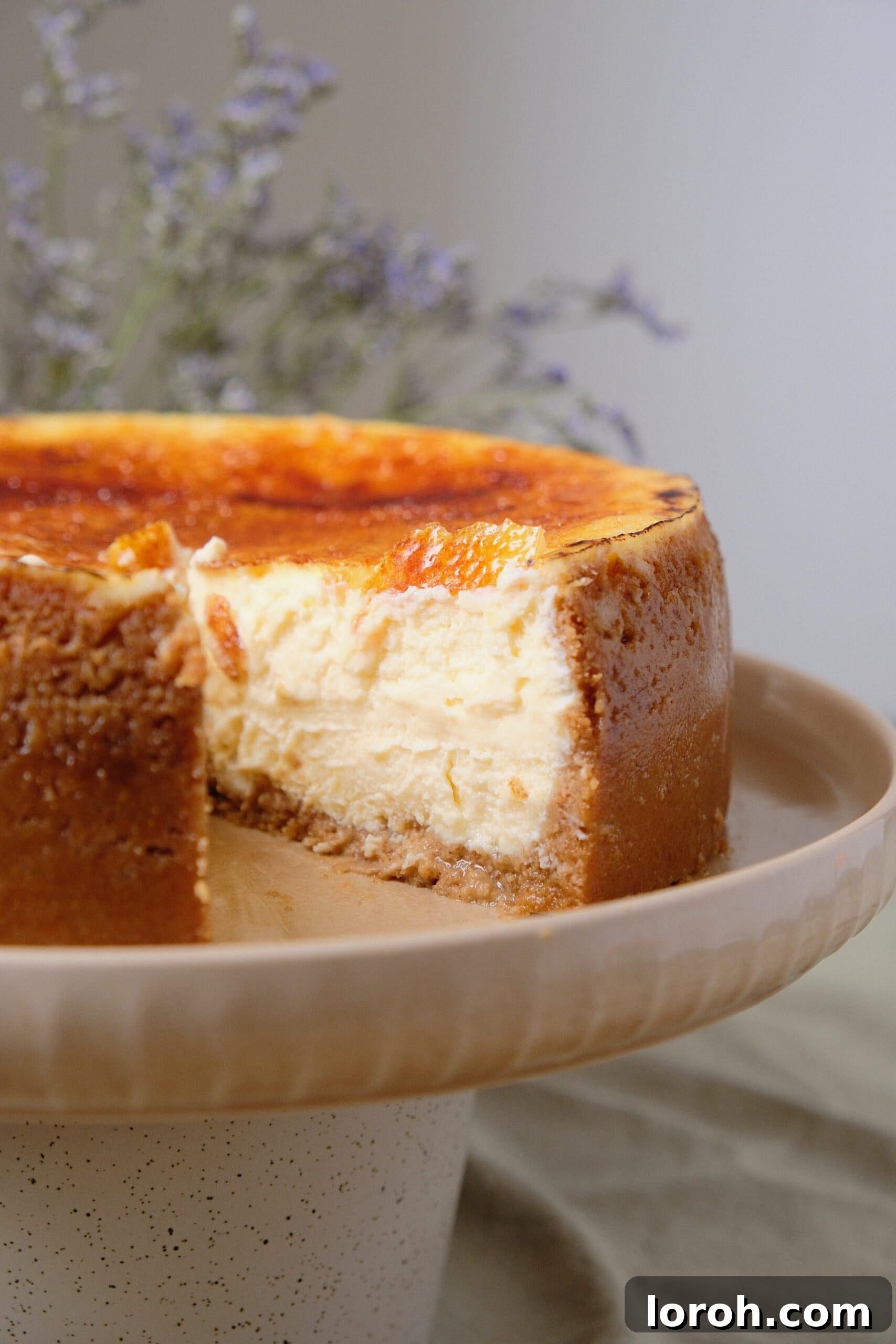 Golden Torched Cheesecake 3 A slice of Crème Brûlée Cheesecake removed from the main cake, showing the perfect layers of crust, creamy filling, and crisp topping.