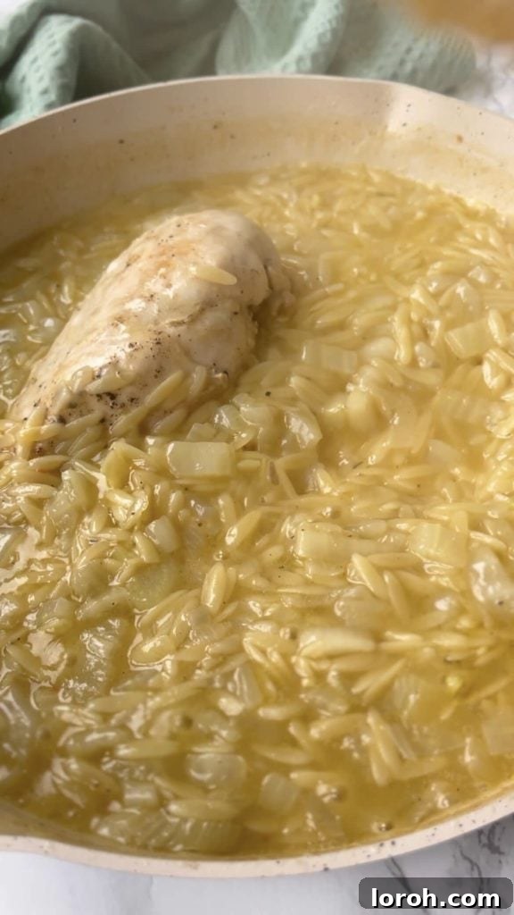 Uncooked orzo pasta, ready to absorb flavor