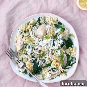 One Pan Chicken Orzo with Grated Halloumi, served in a bowl