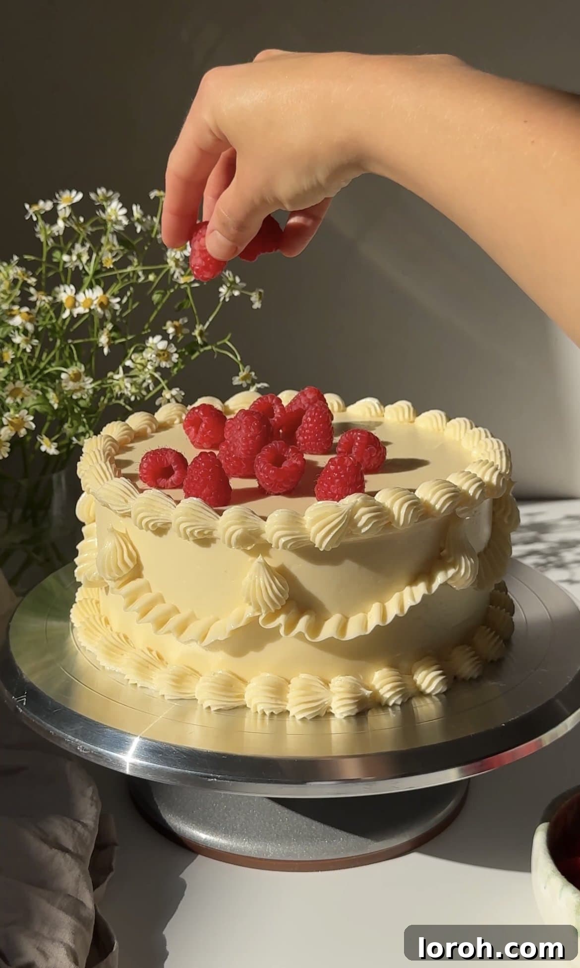 topping the white chocolate raspberry cake with fresh raspberries.