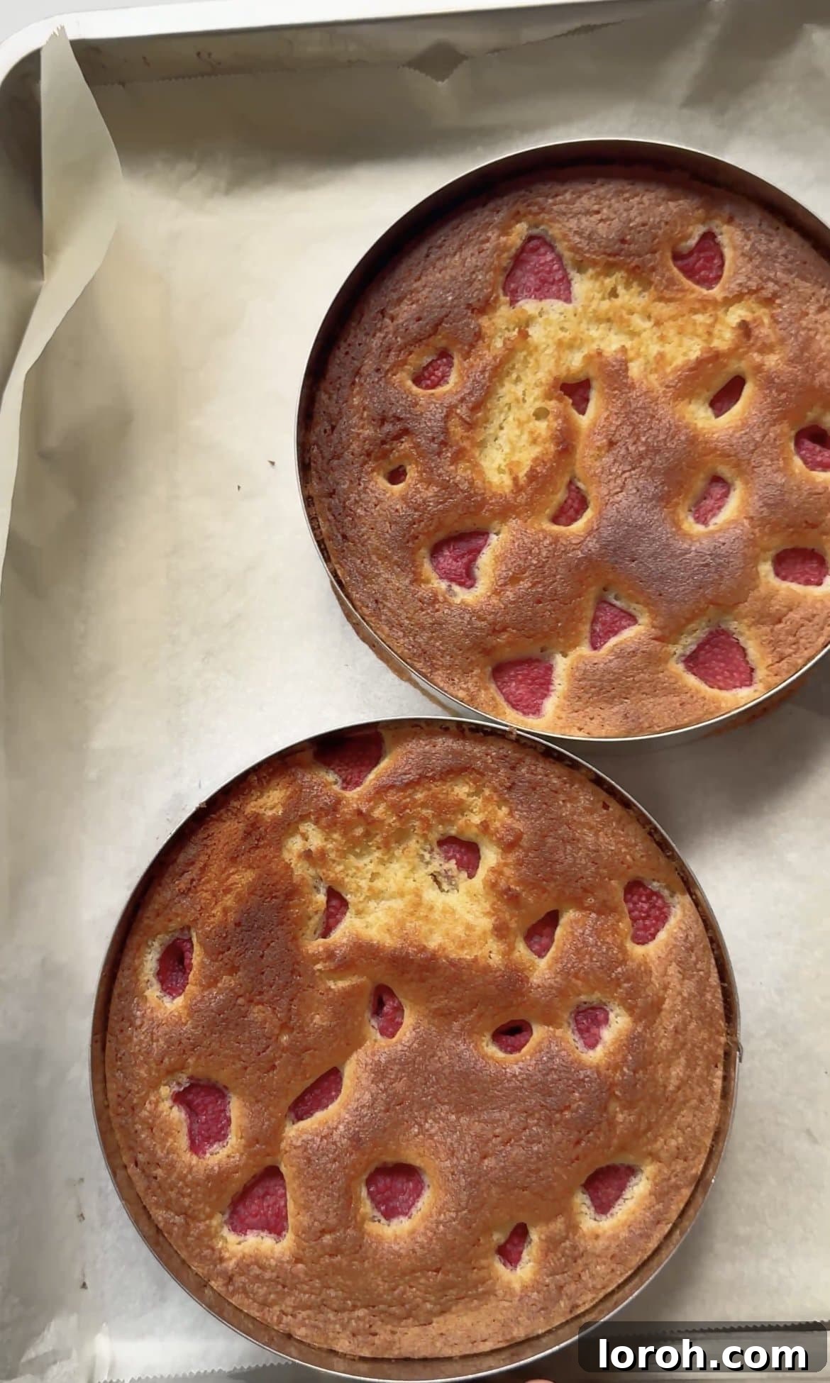 baked cakes with raspberries.