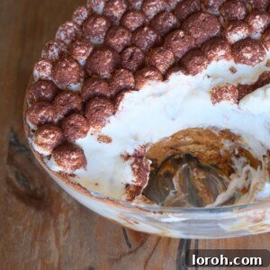 Scooped Speculoos Tiramisu showing creamy layers and biscuit pieces