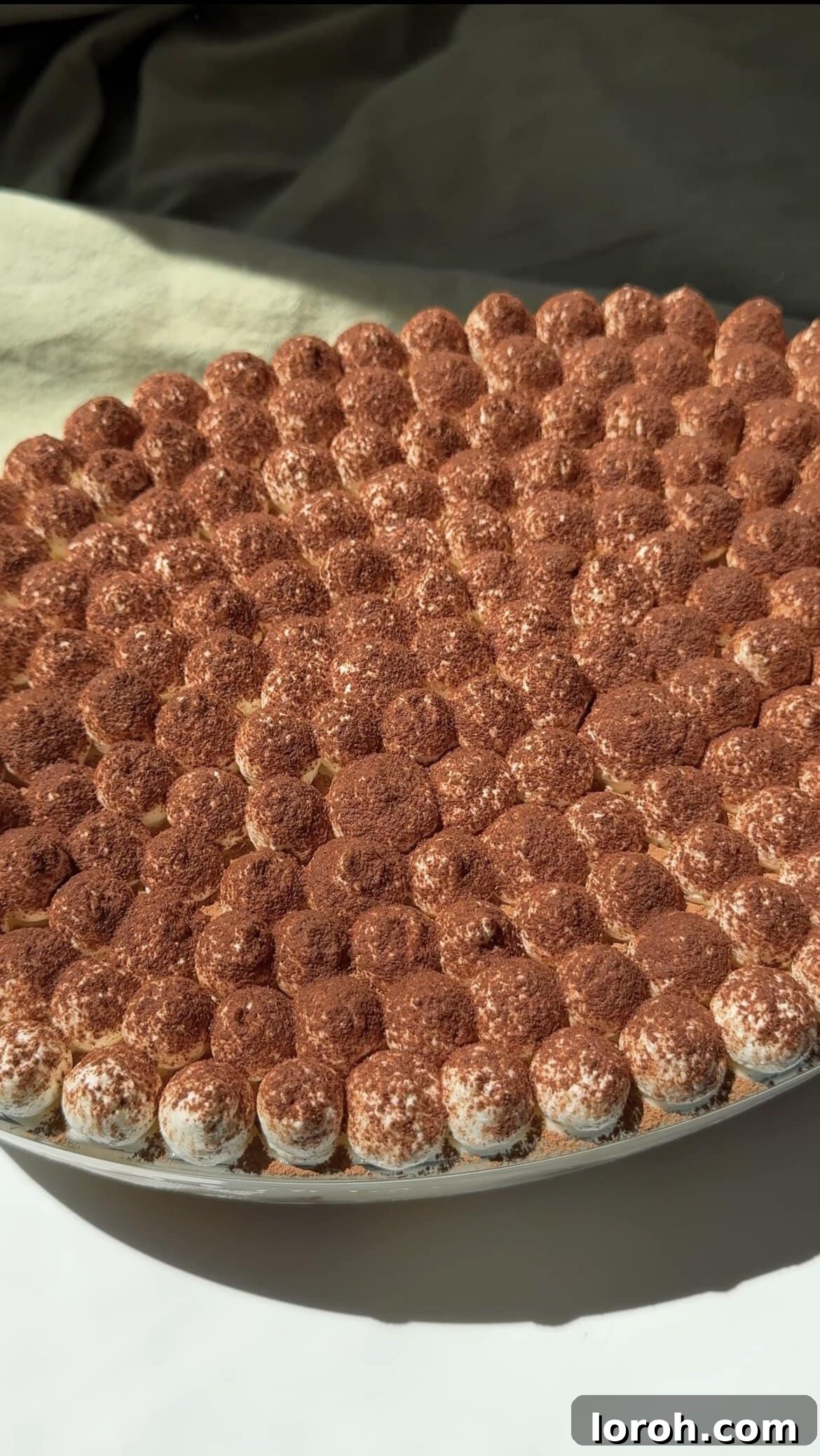 Spiced Speculoos Tiramisu 4 Beautifully assembled Speculoos Tiramisu, dusted with cocoa powder