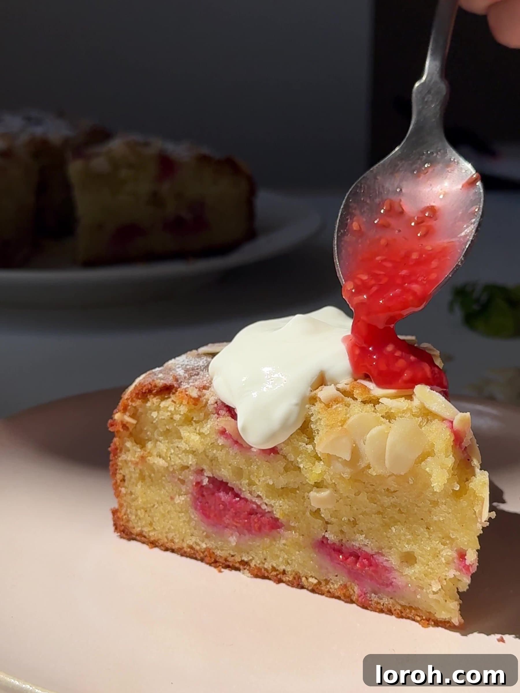 Divine Raspberry Almond Ricotta Cake 3 A close-up of a rustic almond and ricotta cake with a dusting of powdered sugar.