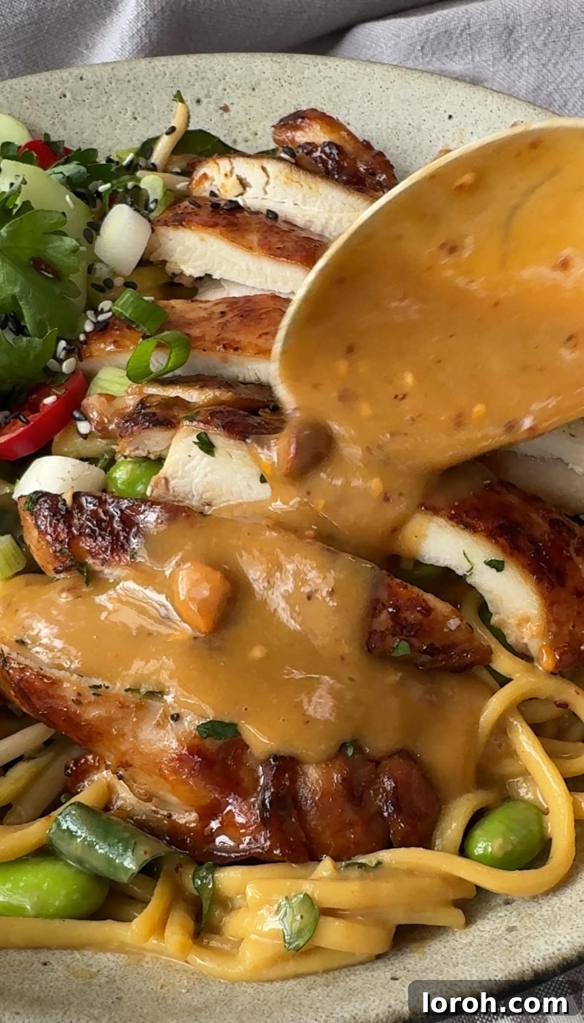 Close-up of the completed Chicken Noodle Bowl, beautifully garnished and drizzled with extra sauce.