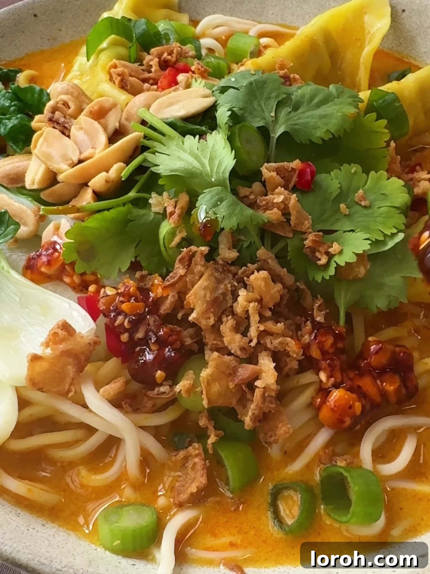 Aromatic Wonton Noodle Delight 5 Close up of Wonton Noodle Soup with fresh ingredients