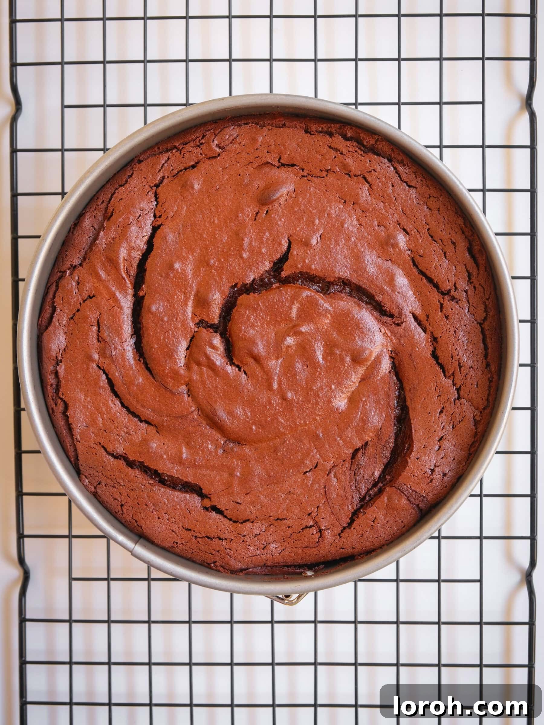 First bake of the Moelleux au Chocolat batter in a springform tin.