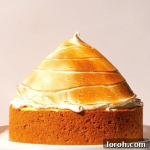 Lemon Meringue Cheesecake with toasted meringue topping