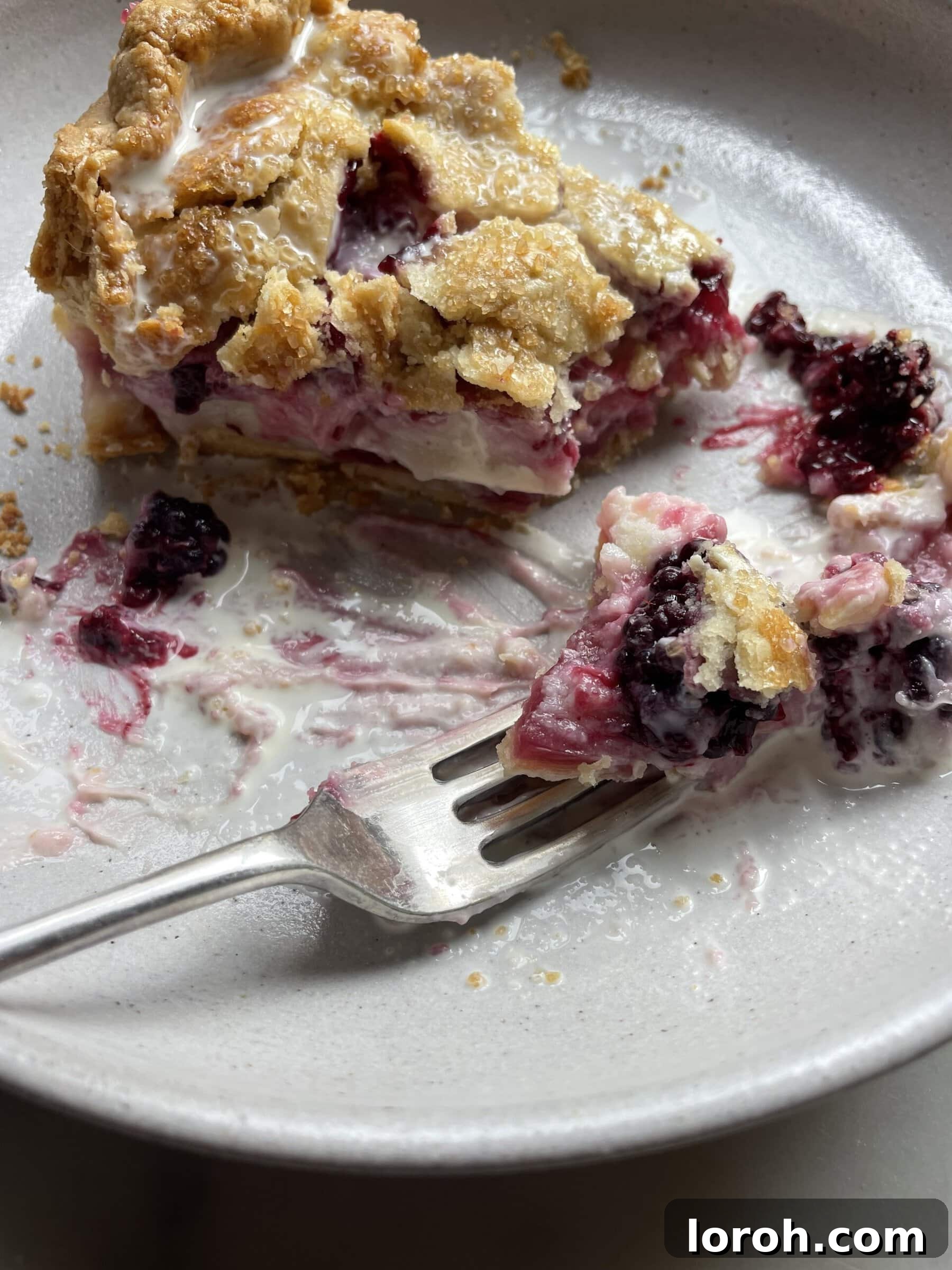 Blackberry Cheesecake Pie 6 Blackberry Pie with Cream Cheese, close up