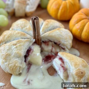 Baked Camembert and Cranberry Puff Pastry Pumpkin for Halloween, a full recipe image.