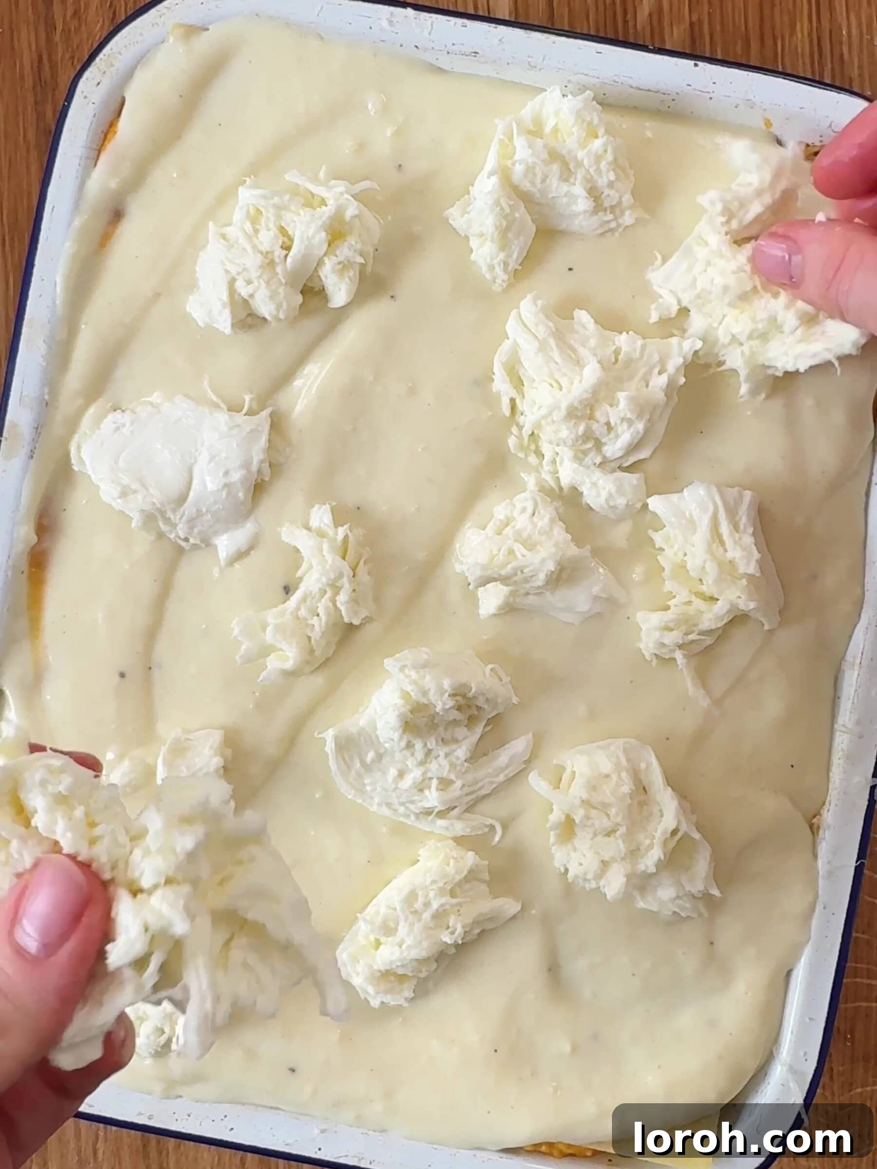 Basil Bliss Lasagna Bake 12 Scattering torn mozzarella pieces and grated Parmesan over the top layer of the lasagne.