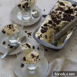 Baileys Velvet Ice Cream 8 Serving Baileys Ice Cream in bowls with chocolate garnishes.
