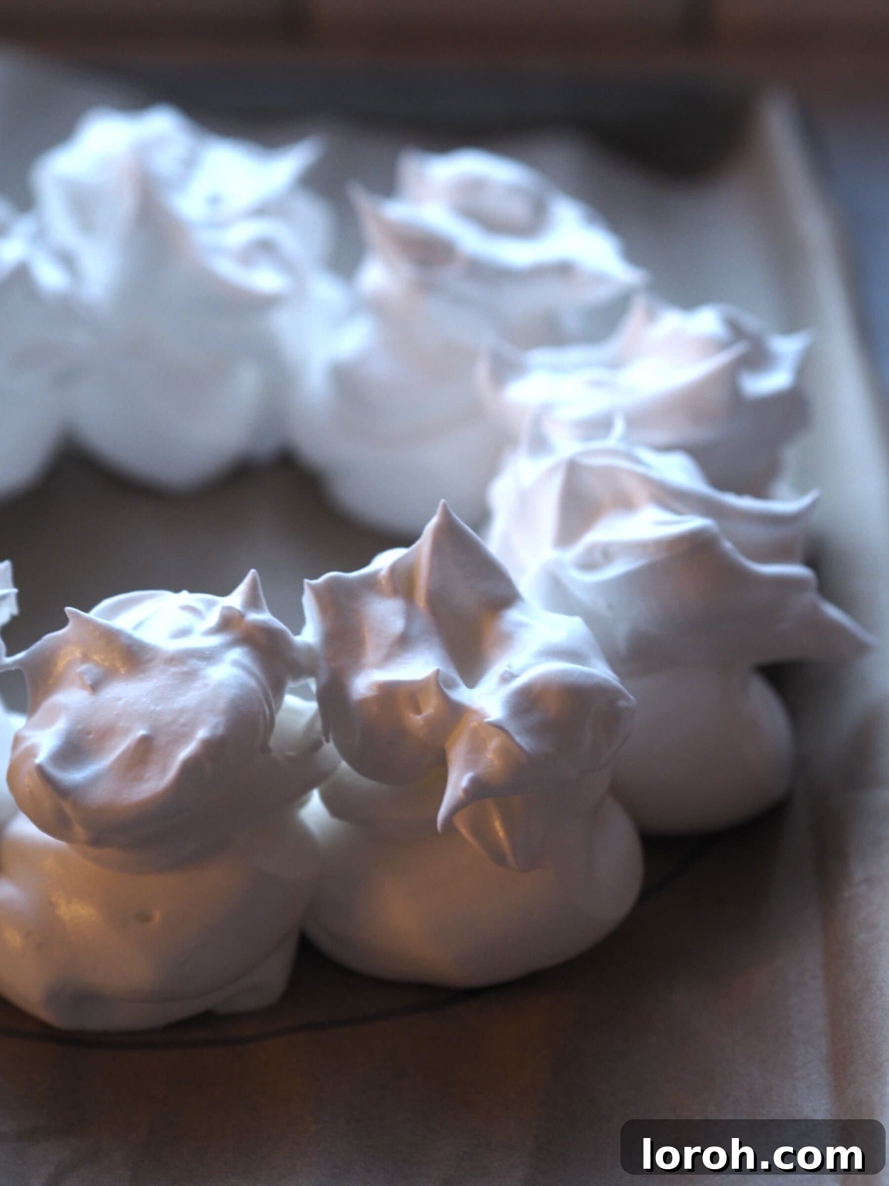 Festive Meringue Wreath 12 Placing the meringue in the oven.