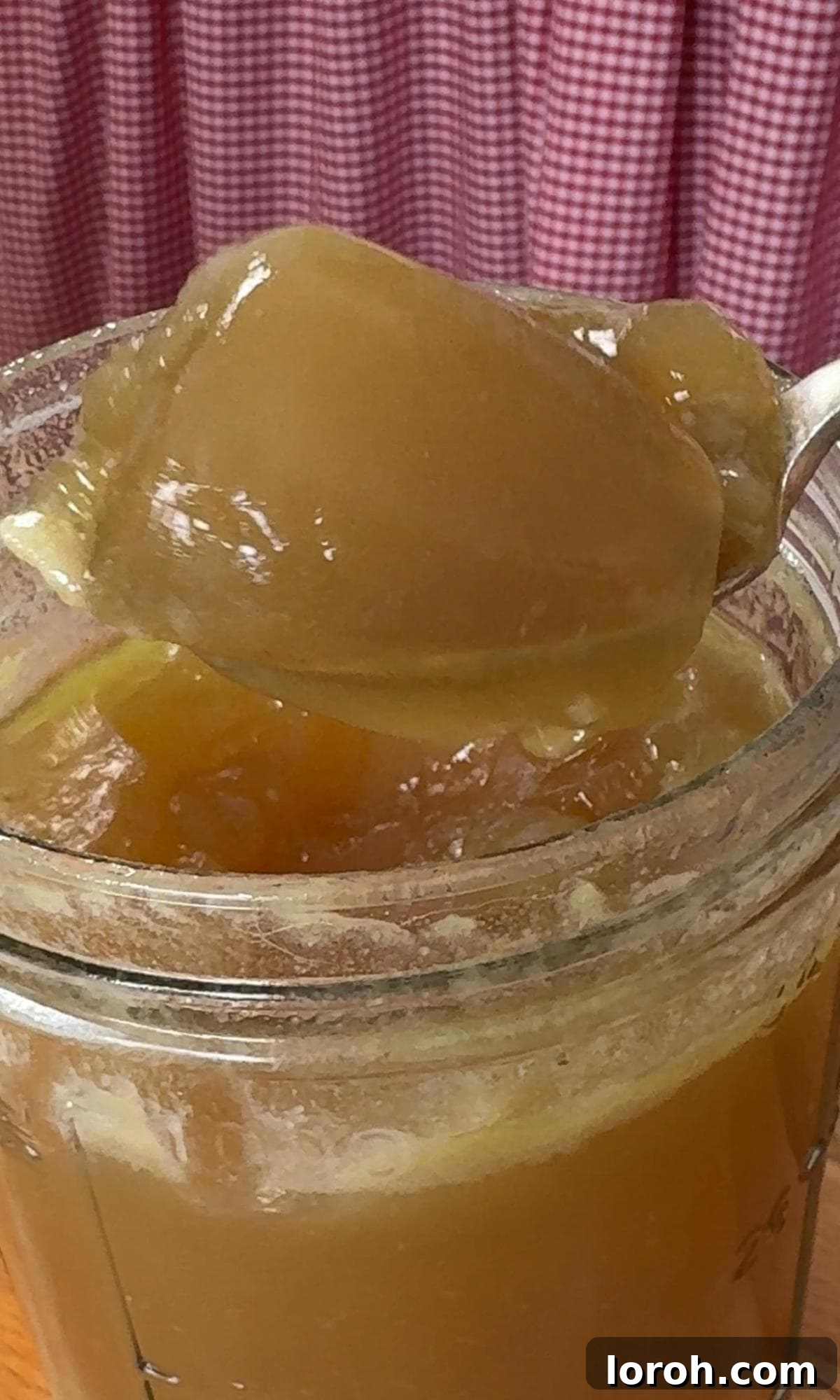 Gelatinous chicken stock, showing its firm, jelly-like consistency when chilled.