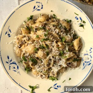 lentil ragu with pasta in a bowl.