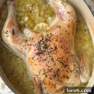 whole chicken in a pot (poule au pot).