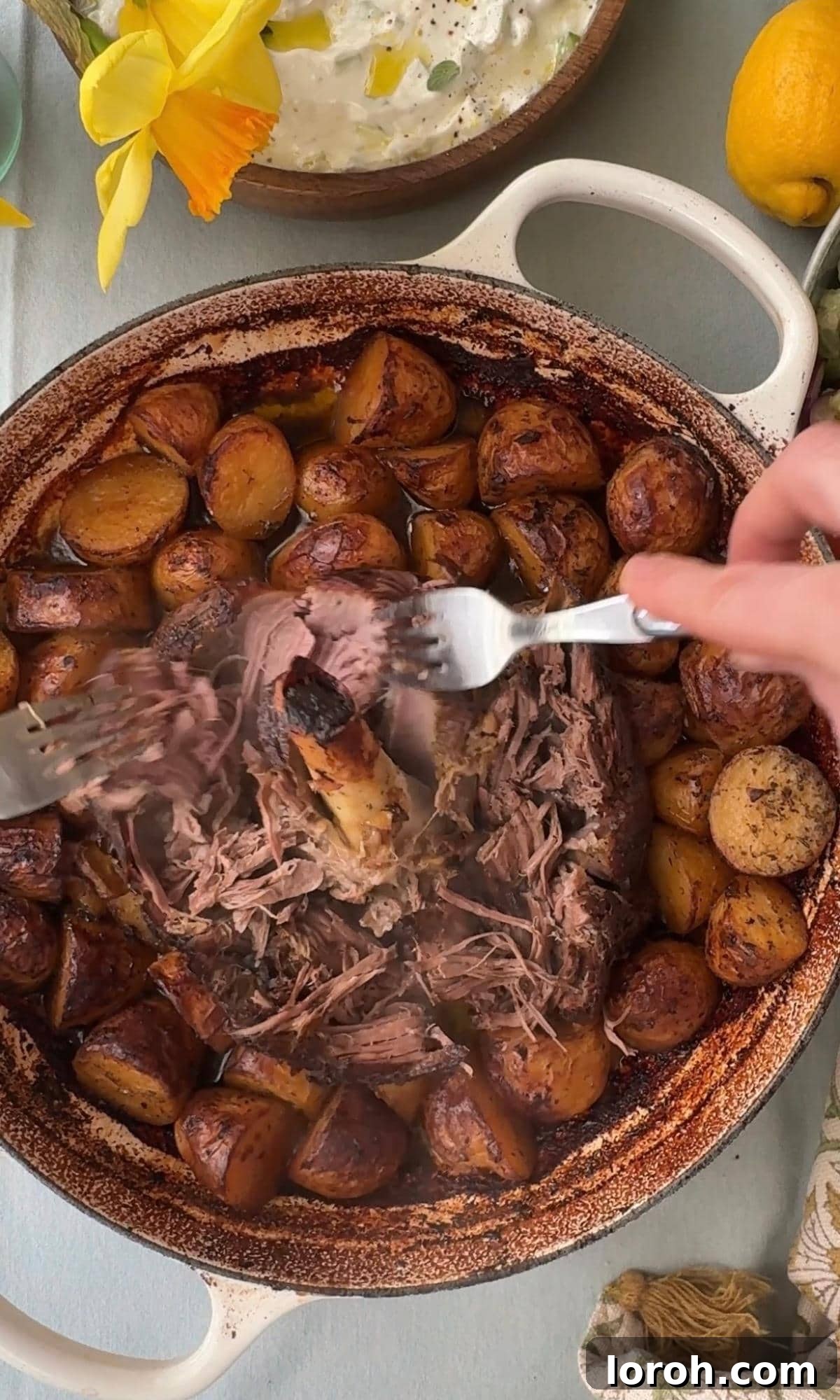 The perfectly cooked lamb leg is pulled apart with forks, revealing tender meat, ready for serving.